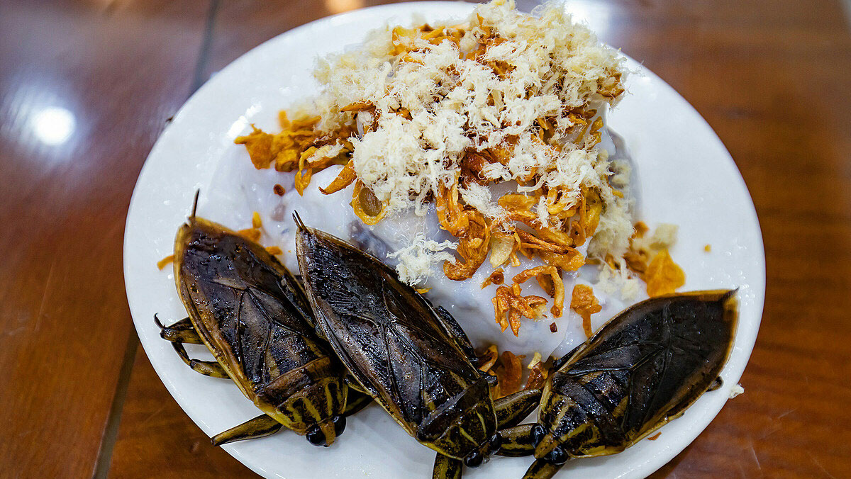Hanoi eatery stands out with fragrant, fatty waterbug sauce