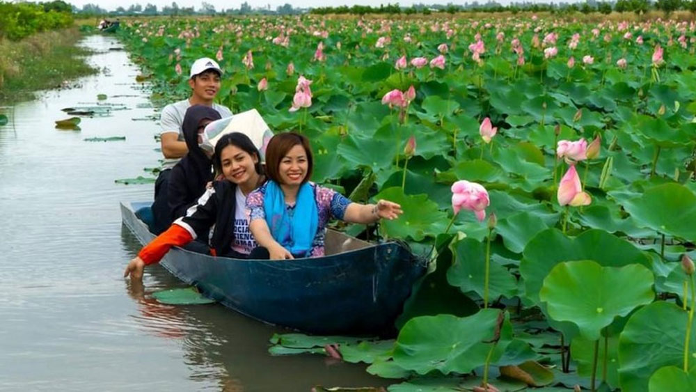 Dong Thap develops lotus-related tourism products