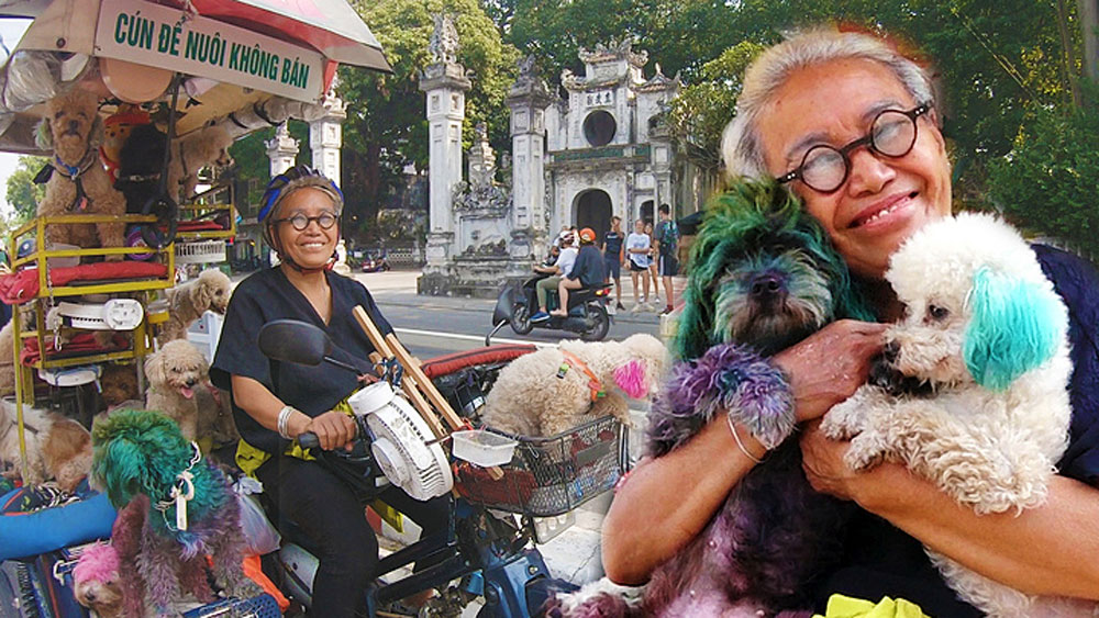 Motorbike lady cruises Hanoi with 13 poodles