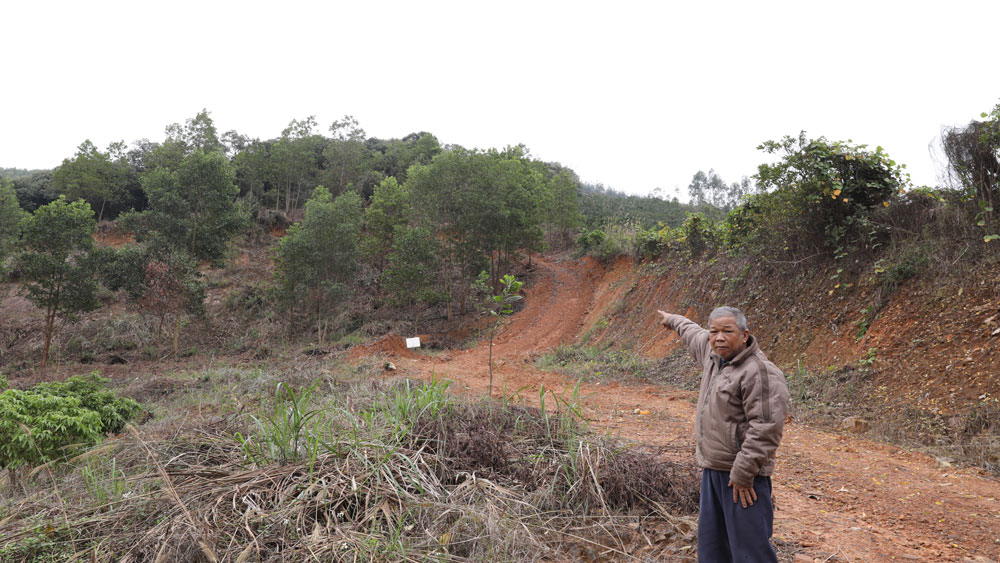 Tranh chấp đất rừng tại xã Nam Dương (Lục Ngạn): Sớm xác định rõ chủ sử dụng hợp pháp