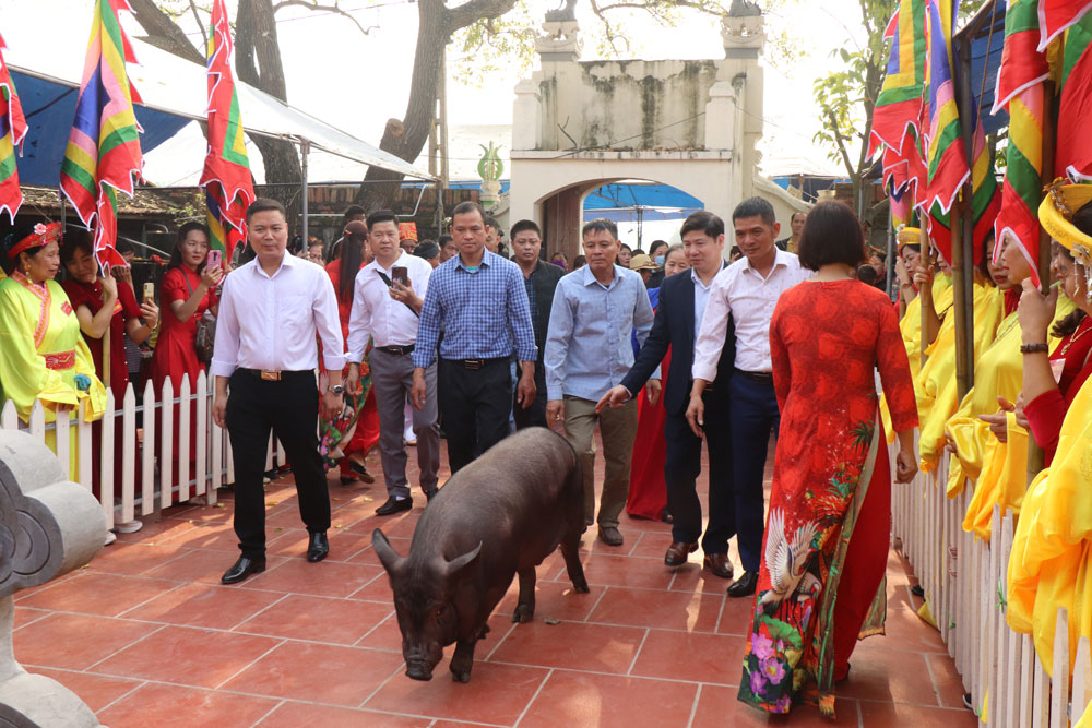 Black pig offering ritual – beautiful customs in Tan Phuong village