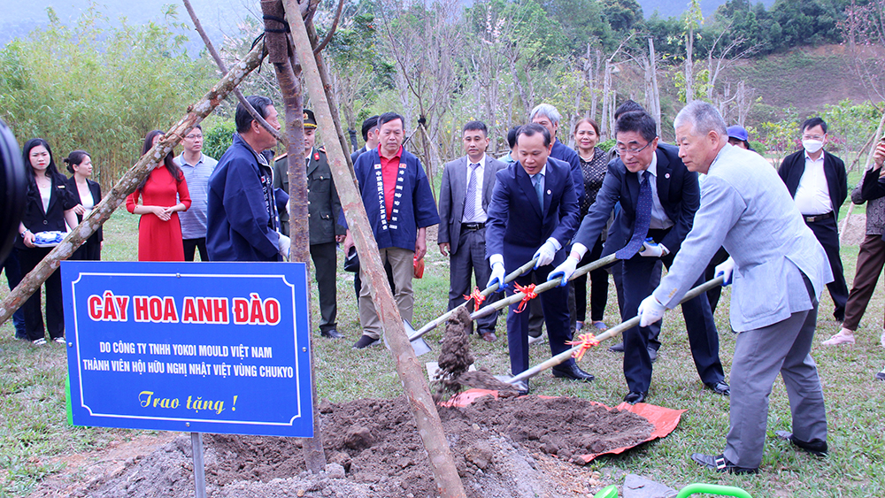 Bắc Giang: Trồng 120 cây hoa anh đào tại Khu du lịch tâm linh - sinh thái Tây Yên Tử