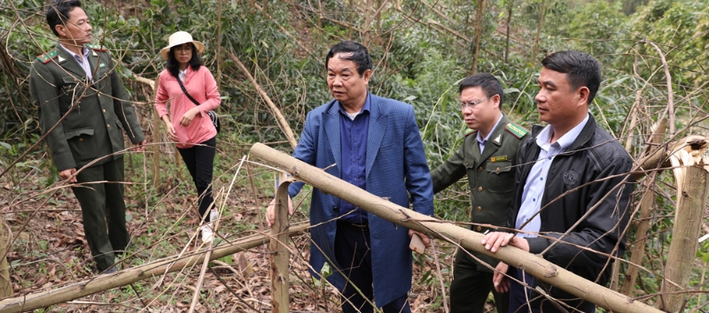 link 79king Nóng Hổi - Bí Quyết Soi Kèo Bách Chiến Bách Thắng