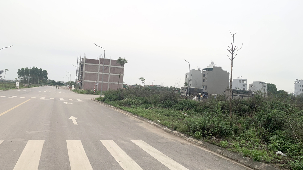 Bắc Giang: Phê duyệt danh mục dự án khu đô thị, khu dân cư cần thu hút đầu tư tại huyện Việt Yên và Tân Yên