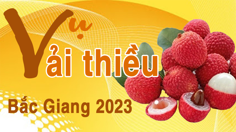 Vụ vải thiều Bắc Giang 2023
