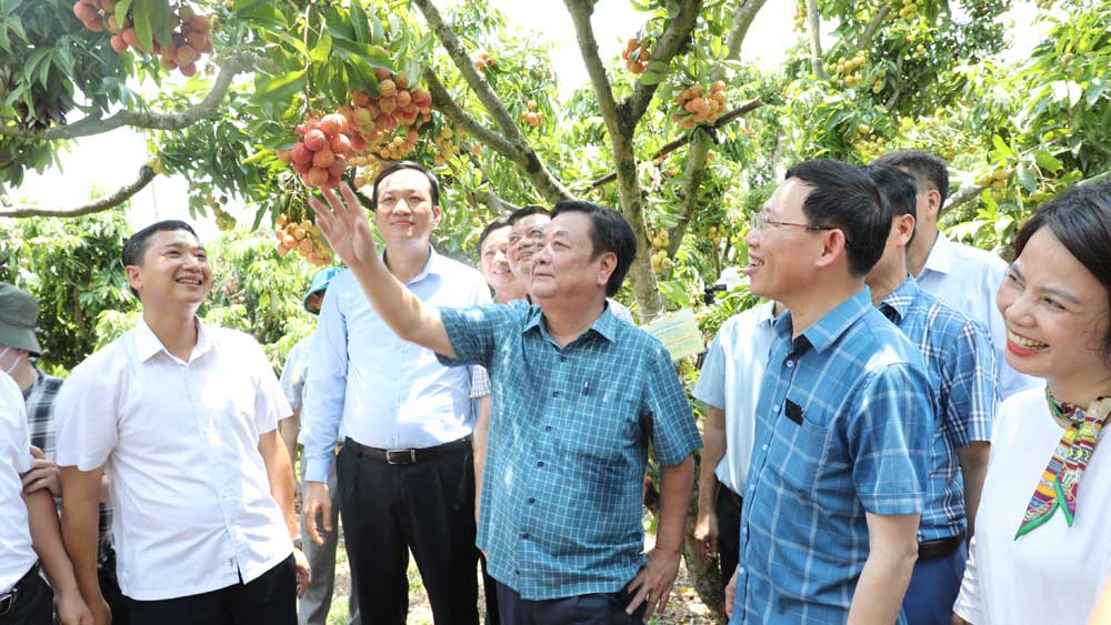 Bộ trưởng Bộ Nông nghiệp và PTNT Lê Minh Hoan làm việc tại Bắc Giang