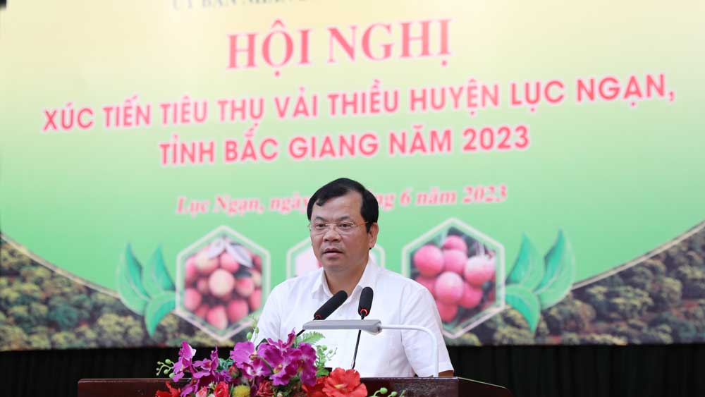 Bắc Giang: Chú trọng chất lượng, đẩy mạnh xuất khẩu chính ngạch vải thiều