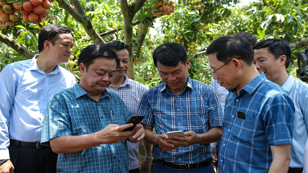 Bộ trưởng Lê Minh Hoan đặt mua cả cây vải thiều ở Lục Ngạn
