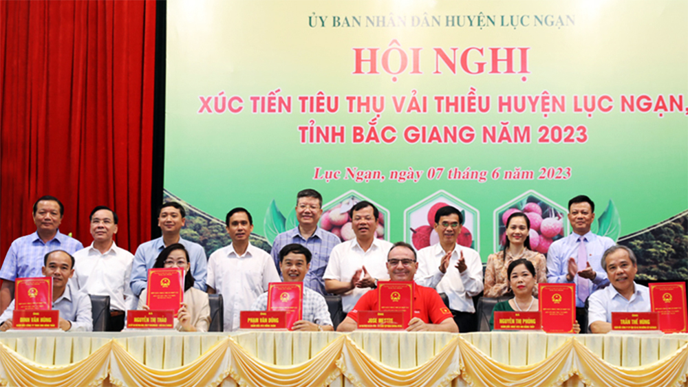 Hiến kế thúc đẩy tiêu thụ vải thiều Bắc Giang