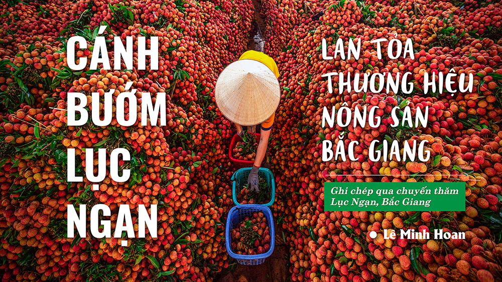 Cánh bướm Lục Ngạn lan tỏa thương hiệu nông sản Bắc Giang