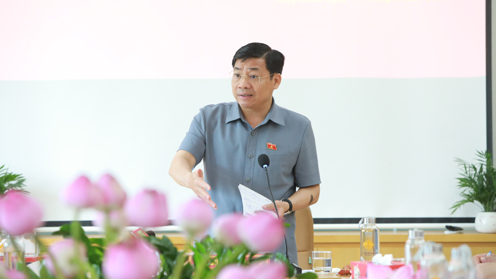 Đoàn ĐBQH tỉnh Bắc Giang khảo sát tình hình đầu tư, sản xuất kinh doanh tại KCN Hòa Phú
