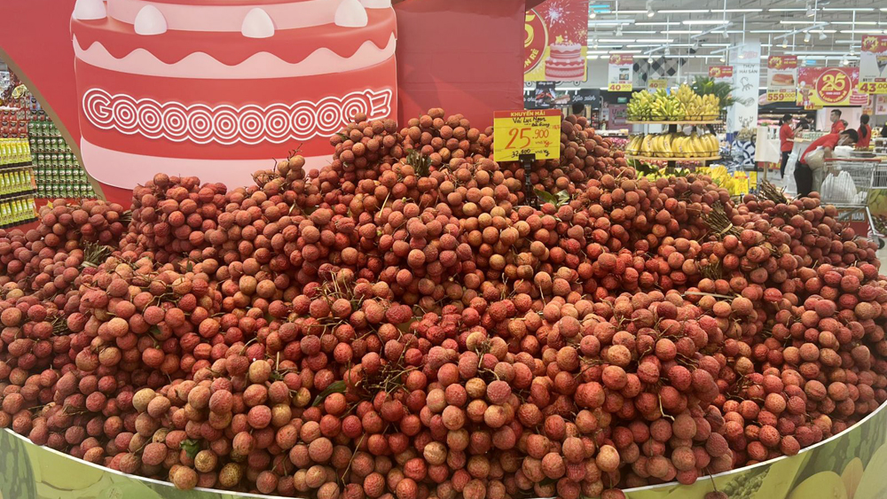 Vải thiều Bắc Giang được giới thiệu tại Ngày hội trái cây Việt Nam