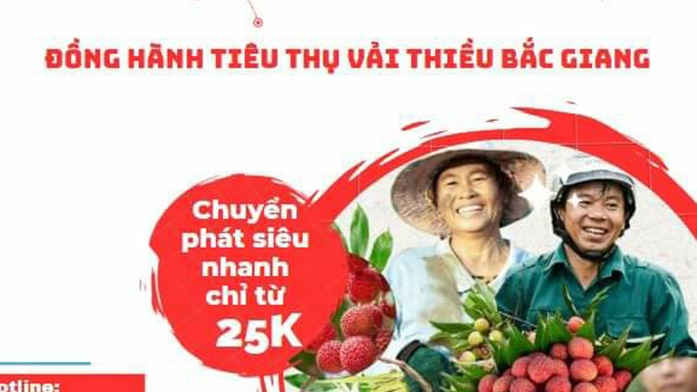 Bắc Giang: Các đơn vị bưu chính đồng hành tiêu thụ vải thiều