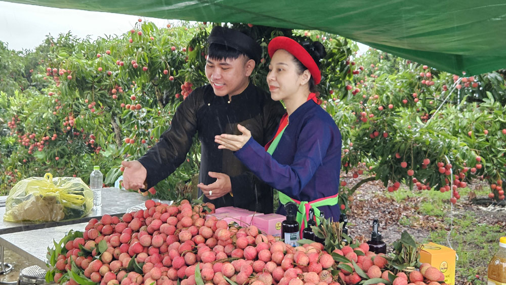 Hơn 70 nhà sáng tạo nội dung quảng bá du lịch thông qua chiến dịch “Bắc Giang đa sắc”