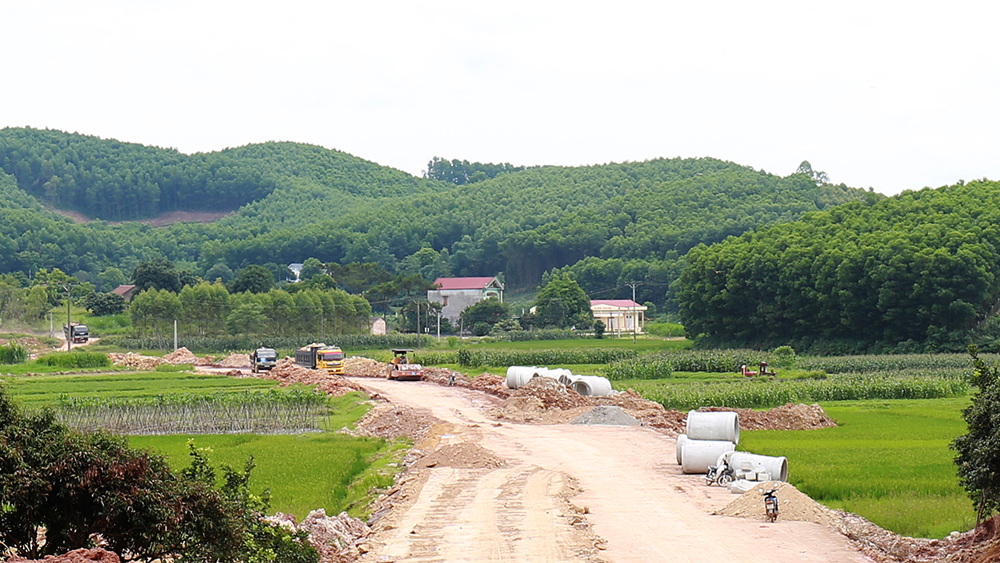 Bắc Giang: Công bố đơn giá bồi thường tài sản trên đất cây trồng, vật nuôi khi Nhà nước thu hồi đất