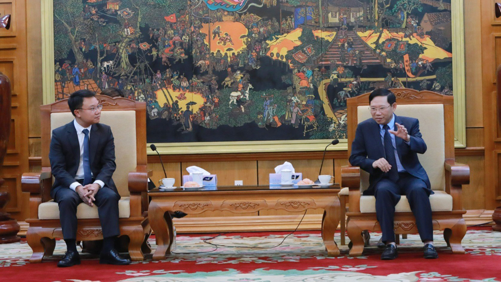 Chủ tịch UBND tỉnh Lê Ánh Dương tiếp Đoàn công tác của Hiệp hội Doanh nghiệp châu Âu tại Việt Nam