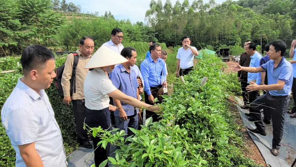 Đoàn công tác tỉnh Xay Sổm Bun (Lào) học tập kinh nghiệm xây dựng nông thôn mới tại huyện Tân Yên