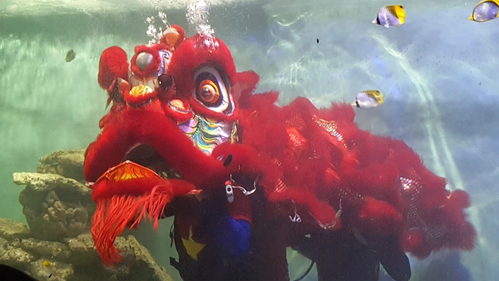 Underwater lion dance wows crowds in Nha Trang