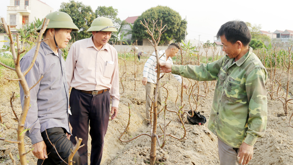 Cán bộ dân vận ở Yên Dũng: Phát huy vai trò cầu nối, tạo đồng thuận