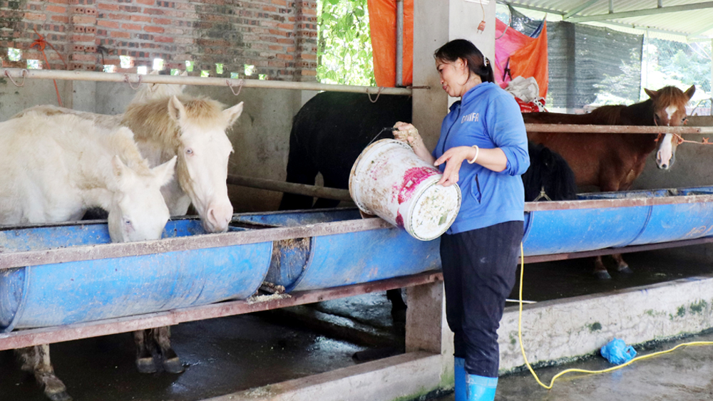 Khai thác lợi thế để giảm nghèo nhanh