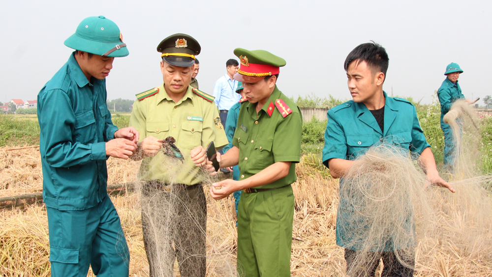 Hiệp Hòa ngăn chặn săn bắt chim hoang dã