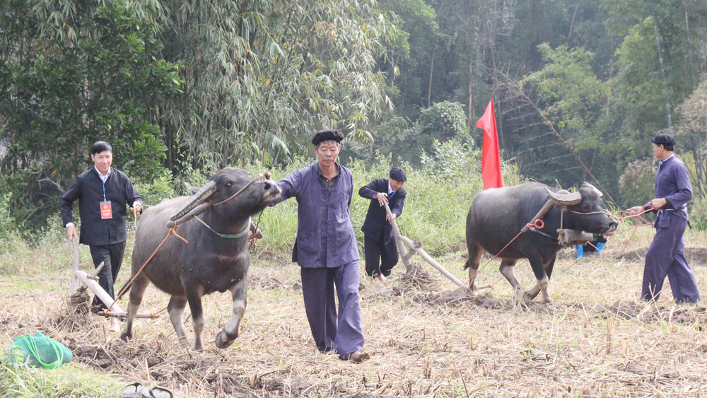 Lễ hội xuống đồng - Nét đẹp văn hóa của đồng bào các dân tộc huyện vùng cao Sơn Động