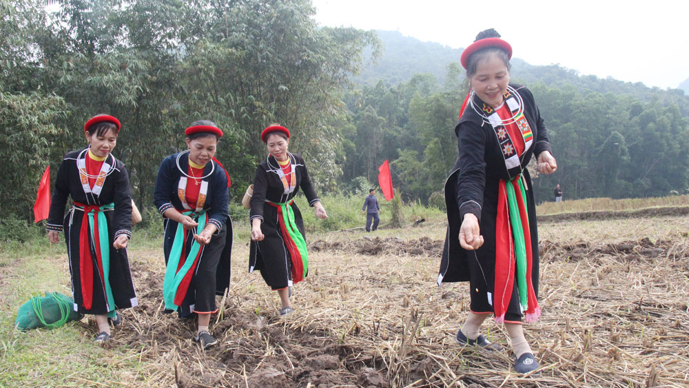 “Going to the field” festival of ethnic minorities in Son Dong district