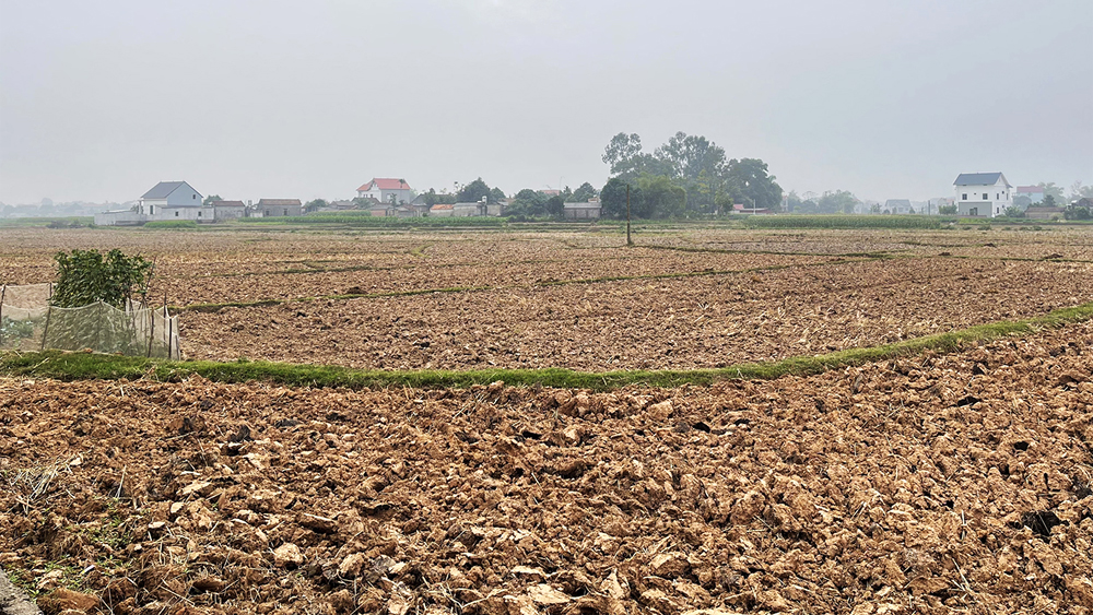 Phê duyệt điều chỉnh, bổ sung kế hoạch sử dụng đất huyện Việt Yên