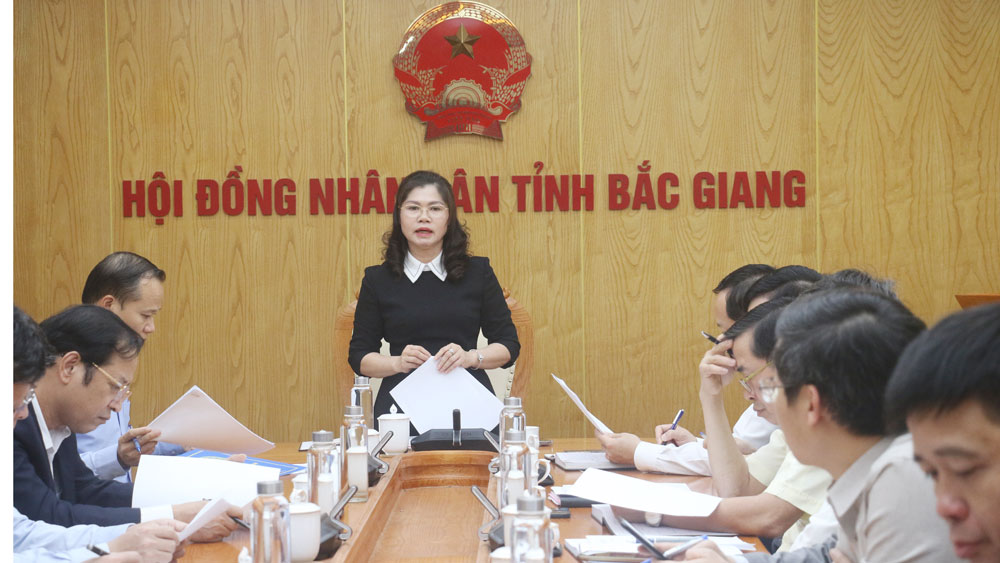 HĐND tỉnh Bắc Giang thống nhất nội dung chuẩn bị kỳ họp chuyên đề