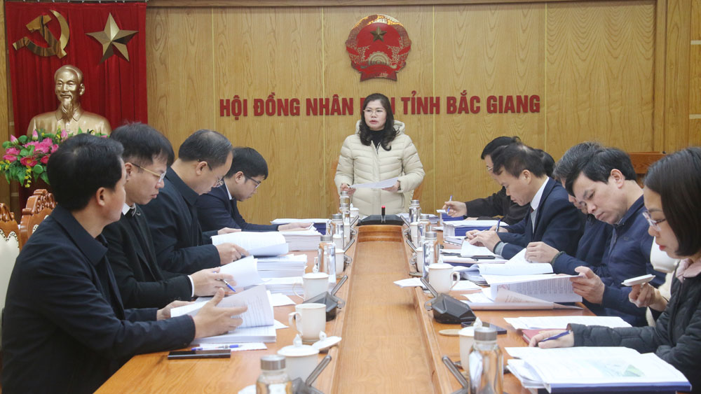 Đảng đoàn HĐND tỉnh Bắc Giang thẩm định, thẩm tra một số dự thảo nghị quyết trình tại kỳ họp chuyên đề