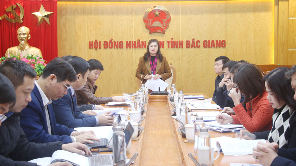 Đảng đoàn HĐND tỉnh Bắc Giang thẩm định, thẩm tra dự thảo nghị quyết