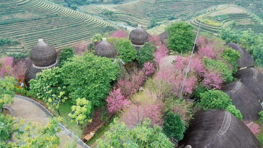 A springtime tour of northern Vietnam's blossom-adorned landscapes