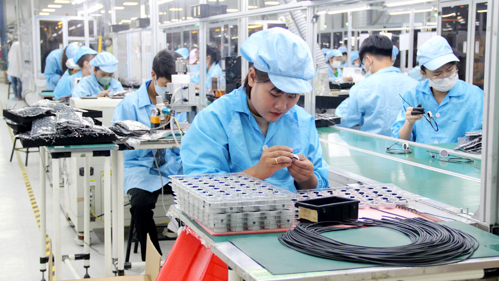 Bac Giang: Over 200 new enterprises established