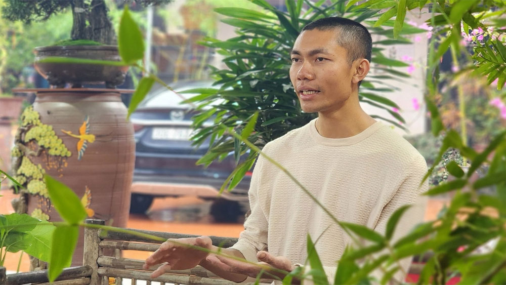 Chiêm ngưỡng tác phẩm tre bonsai độc đáo của chàng trai Bắc Giang