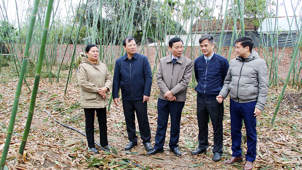 Phó Chủ tịch UBND tỉnh Phan Thế Tuấn kiểm tra tình hình hoạt động của HTX tại huyện Tân Yên