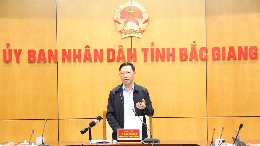 Chủ tịch UBND tỉnh Bắc Giang Lê Ánh Dương làm việc với Ban Quản lý Các KCN tỉnh
