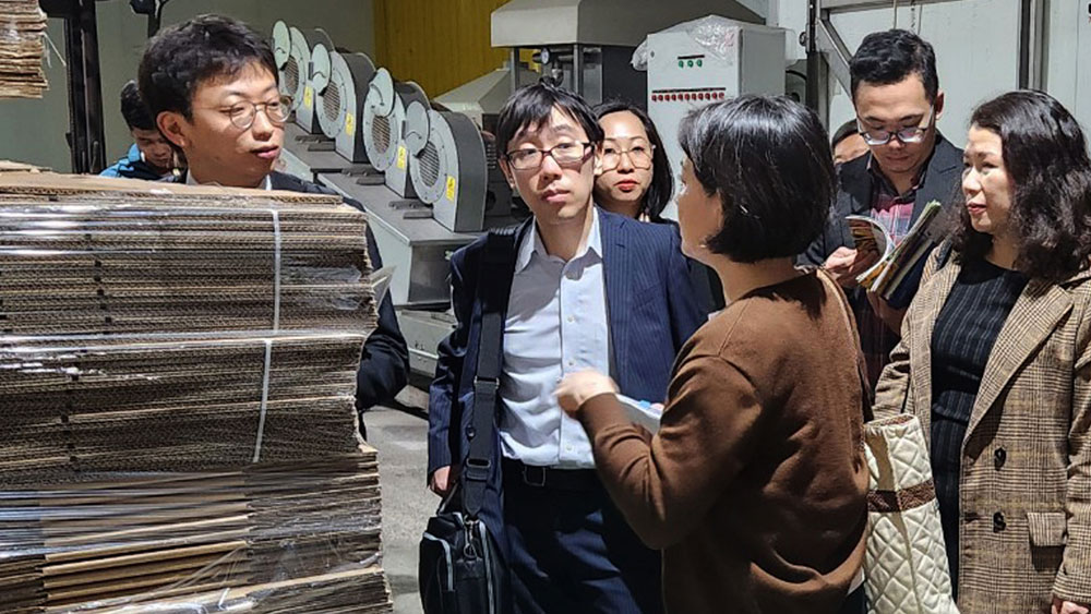 Japanese delegation visits Luc Ngan lychee area