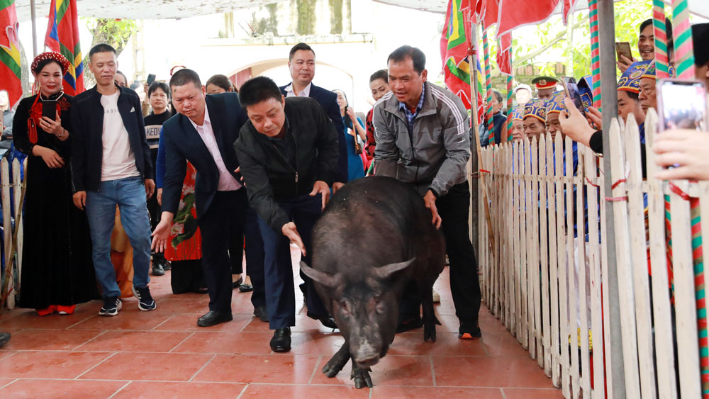 Độc đáo lễ tế lợn đen ở Bắc Giang