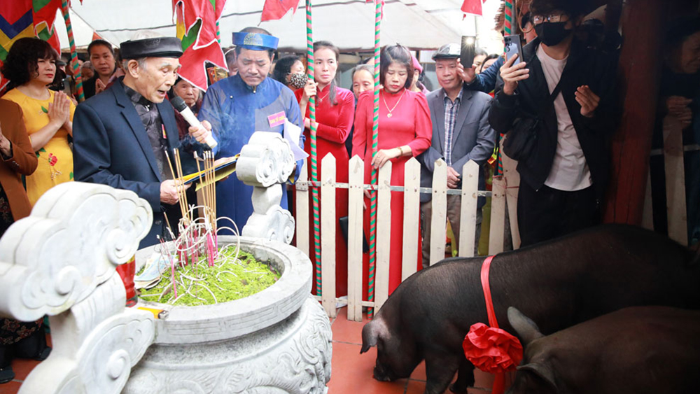 Độc đáo lễ tế lợn đen ở Bắc Giang