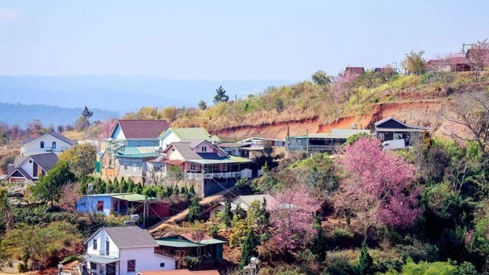 Da Lat is among the top nature destinations in Asia: Agoda
