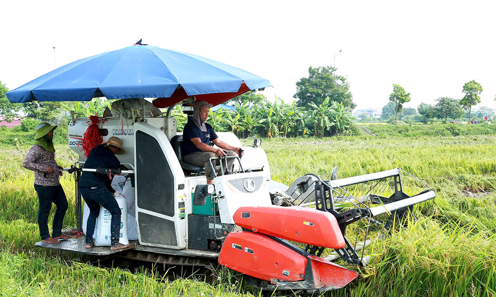  Thủ tướng Phạm Minh Chính chỉ đạo đẩy mạnh khôi phục sản xuất nông nghiệp sau bão số 3