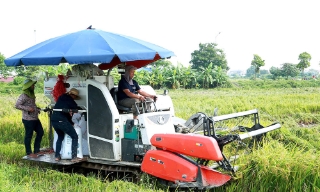 Thủ tướng Phạm Minh Chính chỉ đạo đẩy mạnh khôi phục sản xuất nông nghiệp sau bão số 3