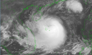 Bão Trami giật cấp 14, tiến nhanh về vùng biển Trung Trung Bộ