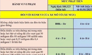 Mức phạt vi phạm hành chính từ ngày 1/1/2025 lái xe ô tô, mô tô cần biết