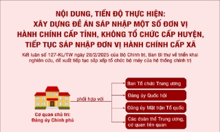 Nội dung, tiến độ thực hiện đề án sáp nhập một số đơn vị hành chính cấp tỉnh và xã, không tổ chức cấp huyện