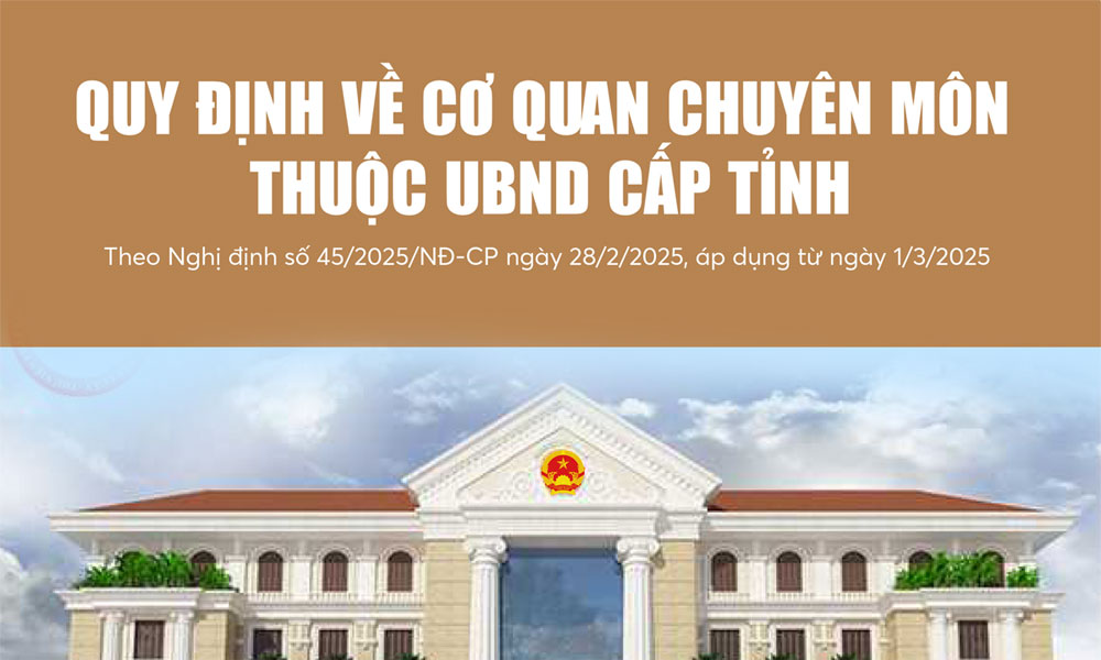  Quy định về cơ quan chuyên môn thuộc Ủy ban nhân dân cấp tỉnh