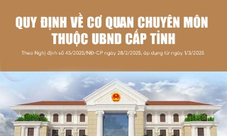 Quy định về cơ quan chuyên môn thuộc Ủy ban nhân dân cấp tỉnh