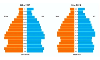 Dự báo Việt Nam sẽ chuyển sang giai đoạn dân số già vào năm 2038