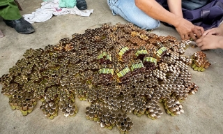 Bắt 12 đối tượng vi phạm quy định kinh doanh theo phương thức đa cấp 
