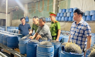 Công an tỉnh Lào Cai triệt phá 2 cơ sở dùng hóa chất độc hại làm giá đỗ